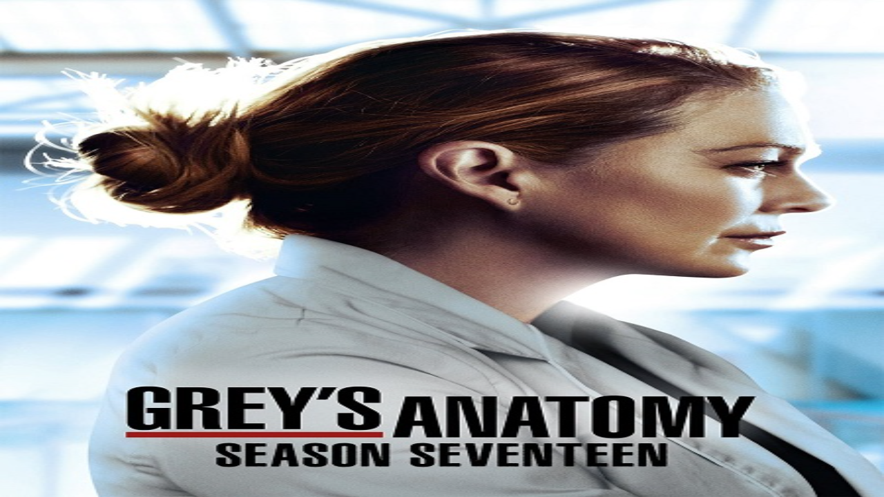 مسلسل Grey’s Anatomy الموسم السابع عشر الحلقة 17 مترجمة كاملة HD